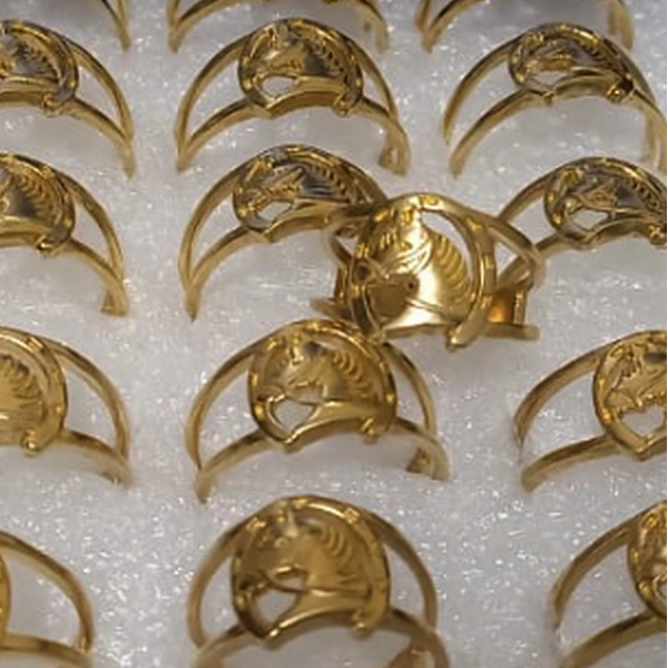 ANEL NO BRUTO PRONTO PARA O BANHO  - COM CAVALO ALTA FUSÃO PESO TOTAL 2.8GR - ANEL00074