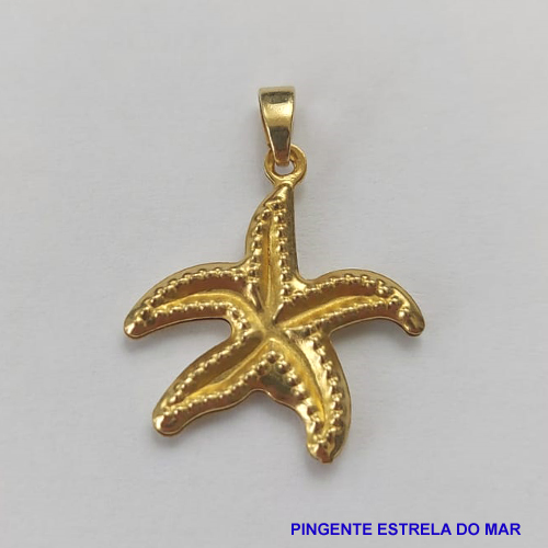 PINGENTE BRUTO PRONTO PARA BANHO (TQ350) PINGENTE ESTRELA DO MAR 14MM PESO TOTAL 0,57GR - BRU8985