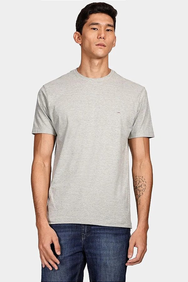 CAMISETA ARAMIS BASICA - CAQUI PEDRA