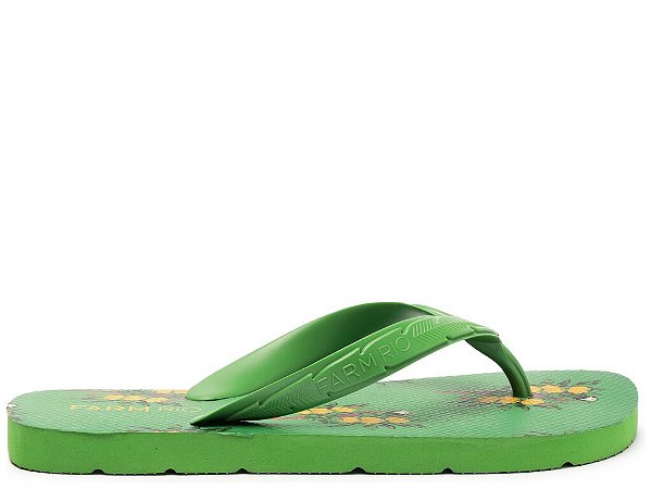 CHINELO FARM FLORESTA