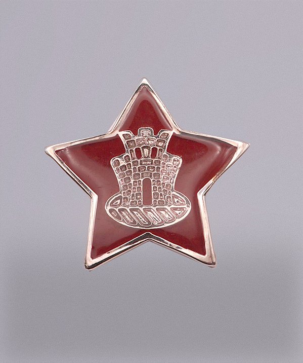 DISTINTIVO DA BOINA