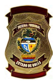 DISTINTIVO DE PEITO - SISTEMA PRISIONAL GO