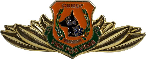DISTINTIVO DE CURSO - VIDA POR VIDAS