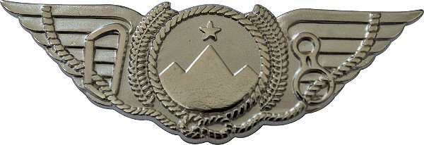 DISTINTIVO DE CURSO - GUIA DE MONTANHA EB