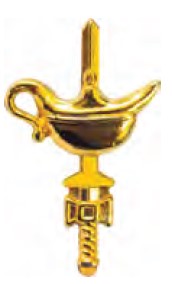 DISTINTIVO DE GOLA - ENFERMAGEM L.E
