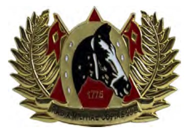 DISTINTIVO DE QUEPE - RADIX MILITAR COPIAEQUE