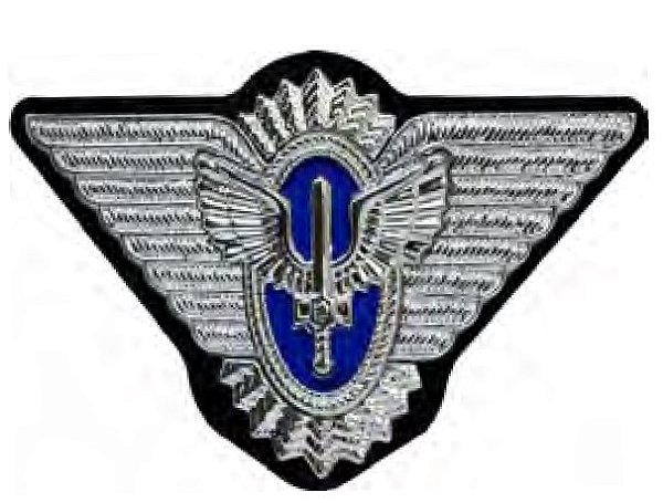 DISTINTIVO DE QUEPE - OFICIAL