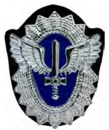 DISTINTIVO DE QUEPE - SARGENTO