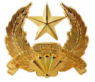 DISTINTIVO DE QUEPE - UNIDADE - LUTA - PROGRESSO