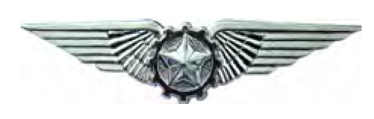 DISTINTIVO DE CURSO - ESPECIALISTA