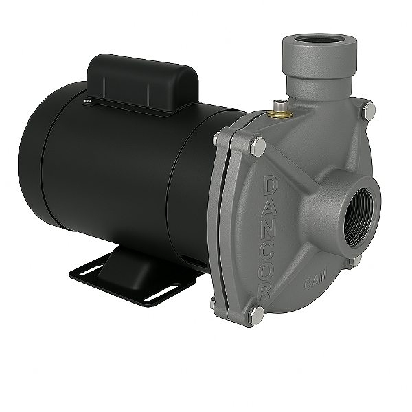 Bomba Centrífuga CAM W-10 Dancor