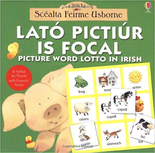 Picture Word Lotto In Irish