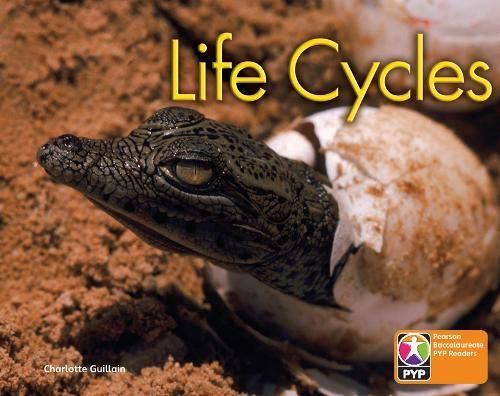 Life Cycles - Pyp - Level 6