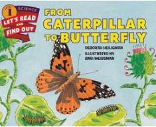 From Caterpillar To Butterfly