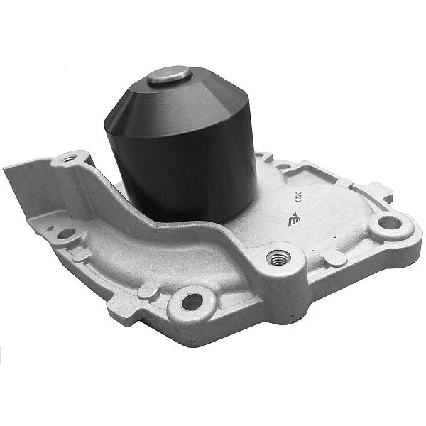 Bomba De Água Renault Duster 2.0 16V 2010 2011 2012 2013 2014 - Swp145 - Starke Automotive