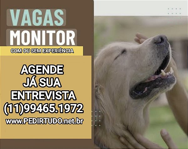 VAGA PARA MONITOR DE PET