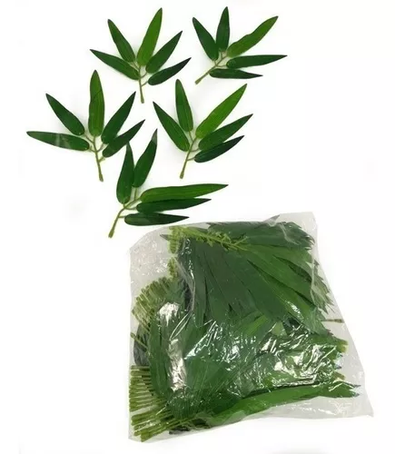 Pacote de Folha de Bambu x100