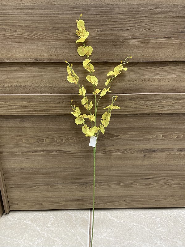 Orquídea Chuva de Ouro Amarela