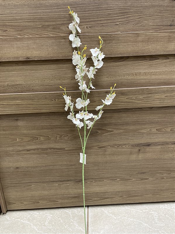 Orquídea Chuva de Ouro Branca