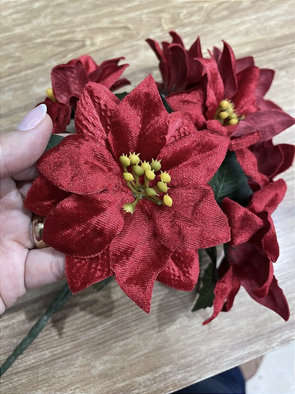 Bico de Papagaio Aveludado Vermelho Pequeno x7