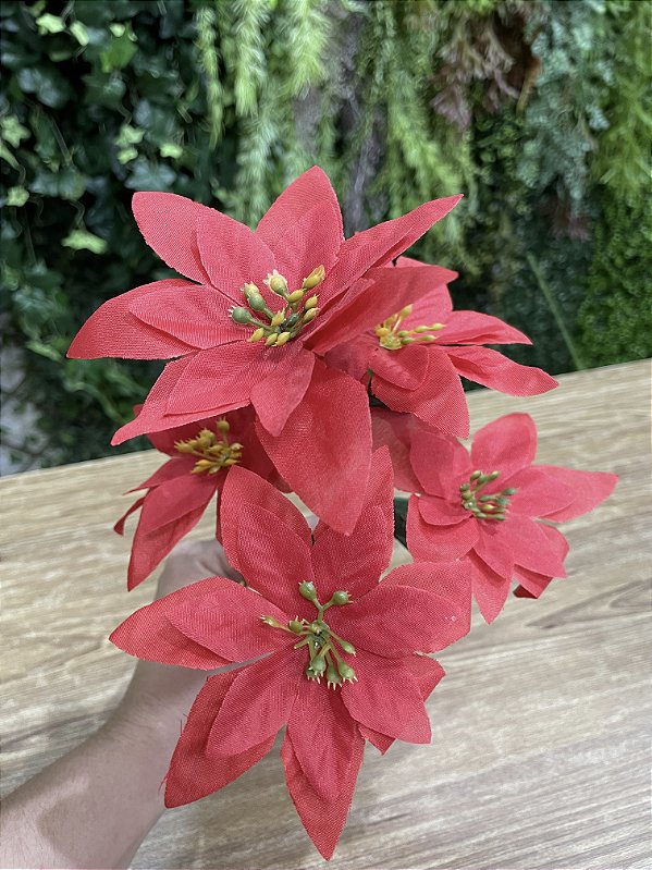 Bico de Papagaio Vermelho Pequeno x5