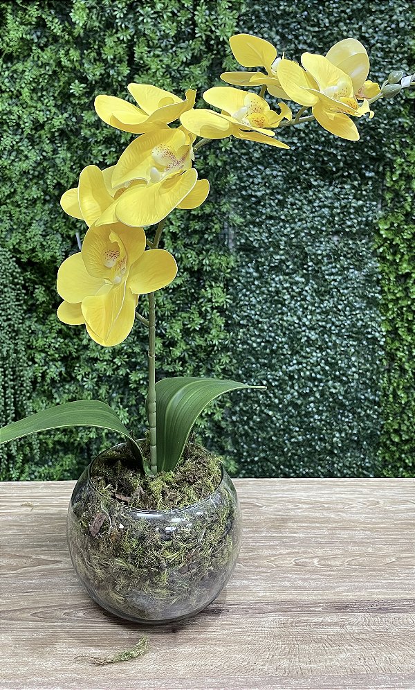 Arranjo de Orquídea Silicone Amarela