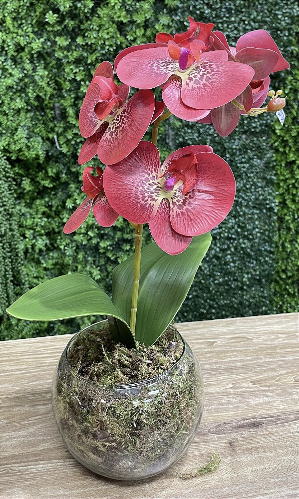 Arranjo de Orquídea Silicone Vermelha