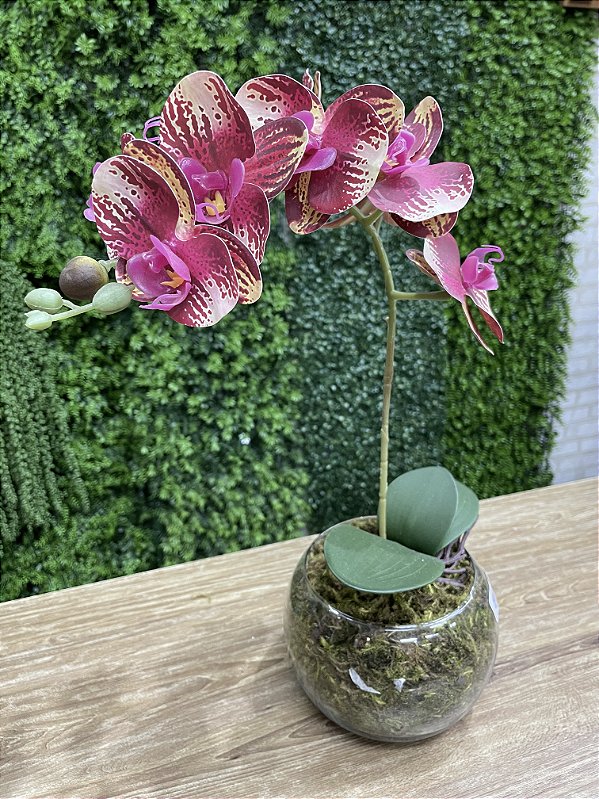Arranjo de Orquídea Silicone Vinho Rajada