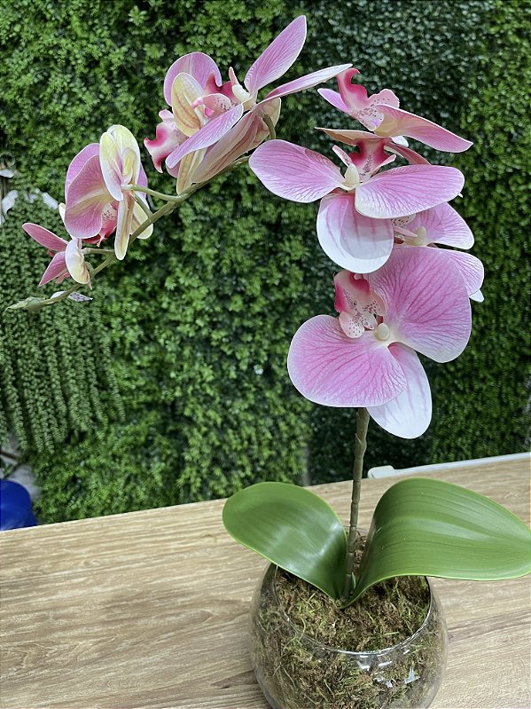 Arranjo de Orquídea Silicone Rosa