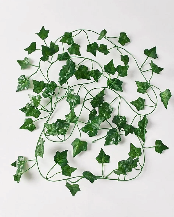 Cordão de Hera 2 metros