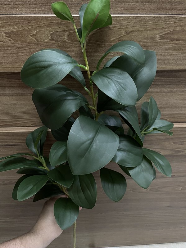 Galho de Folhagem Ruscus