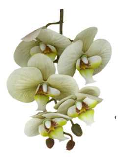 Galho de Orquídea Verde Silicone P 70 cm