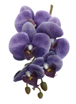 Galho de Orquídea Roxa Silicone P 70 cm