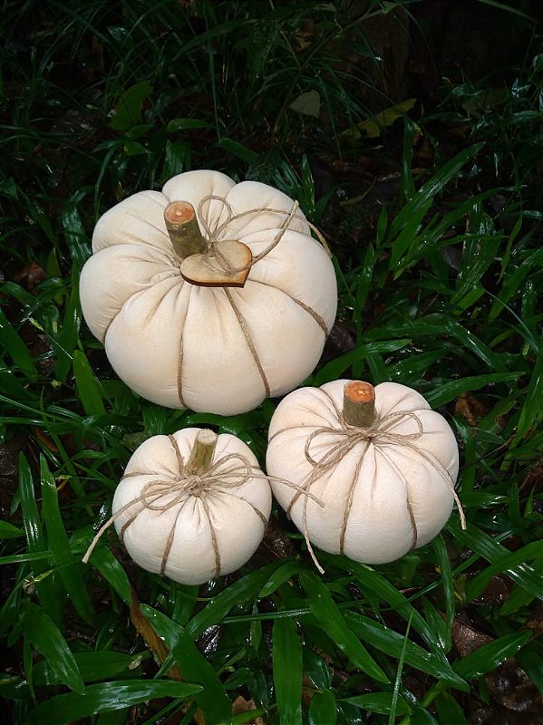 Trio Abóboras - bege