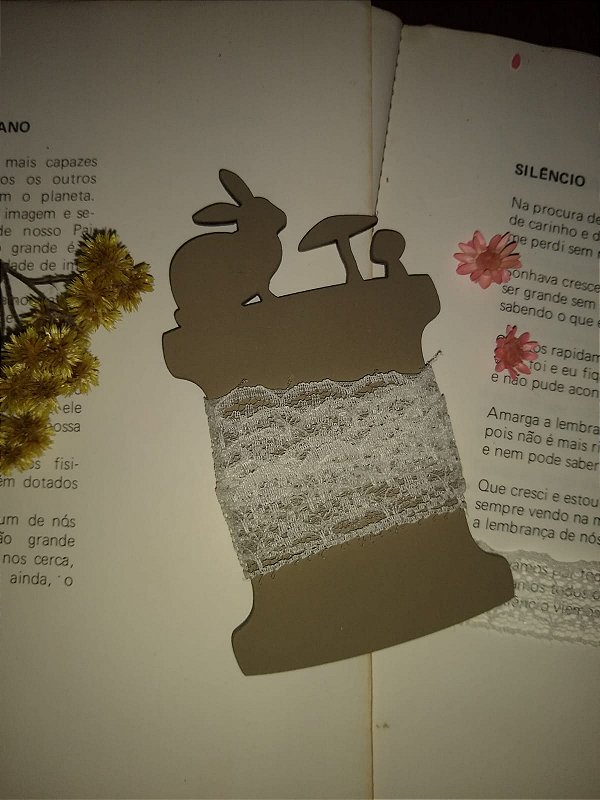 PORTA FITAS  - COELHO