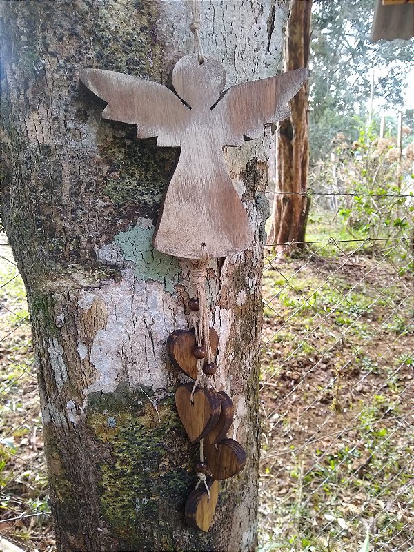 Penca de anjo com Corações