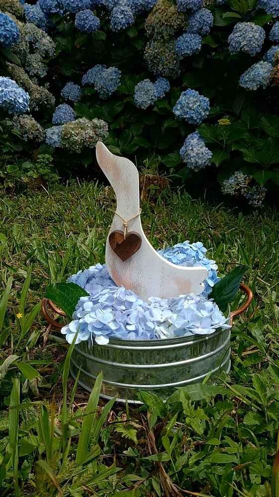 Ganso - Branco Desgastado