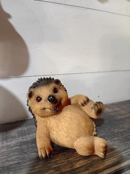 Porco espinho sapeca