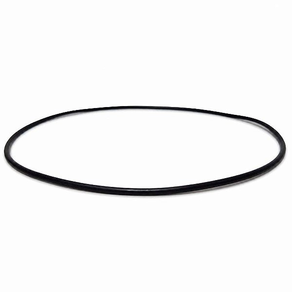 13946442 - Anel de Vedação do Eixo Planetário - L60, L70, L90, L110, L120, L150, L180