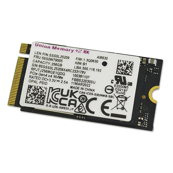 SSD M.2 NVME 2242 PCIe Gen4 x4 256GB RPJTJ256MGE1QDQ Com Ciclos