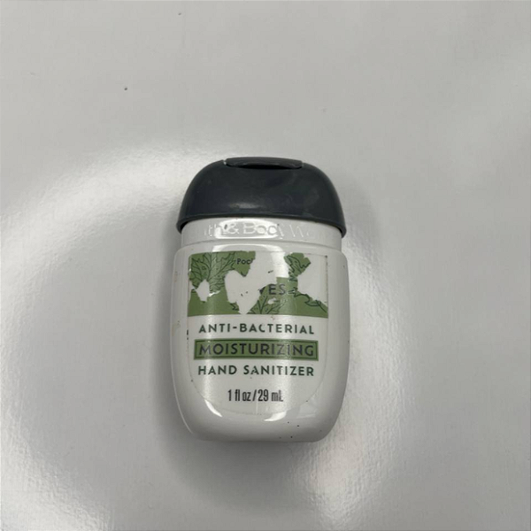 Higienizador de Mãos Hidratante Bath and Body Works Leaves (Rótulo danificado)