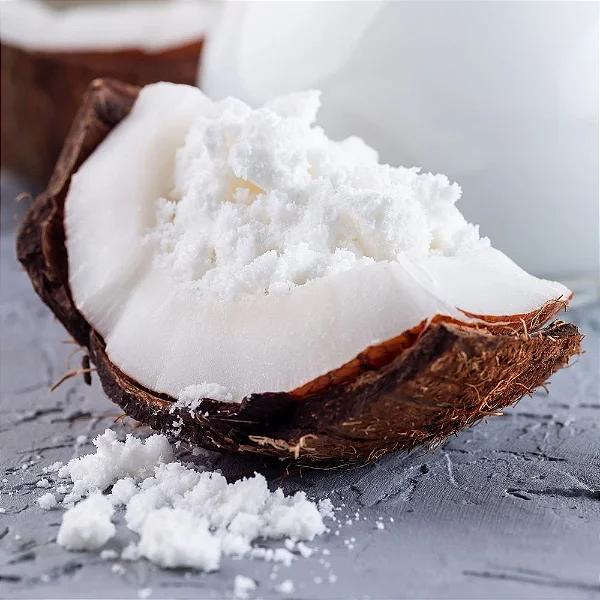 Leite de Coco em Pó Vegano