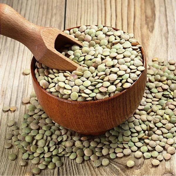 Lentilha Verde