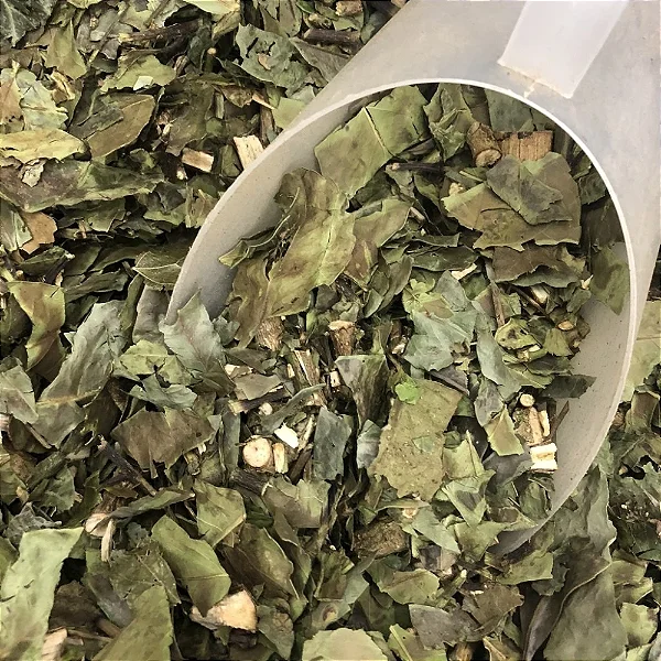 Chá Verde Nacional