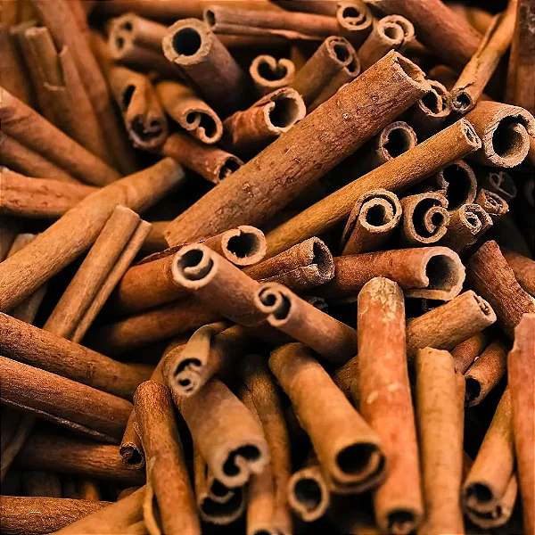 Canela em Pau