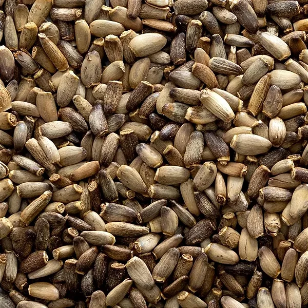 Cardo Mariano (semente a Granel)