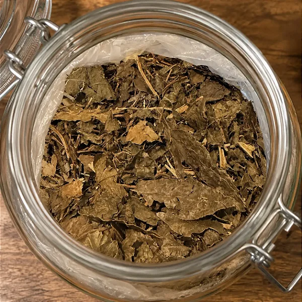 Guaçatonga para chá (a granel - 100g ou 200g)