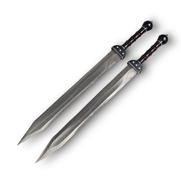 Espada Dupla Gladius Máximos Gladiador Romano Bainha Costas Em Aço