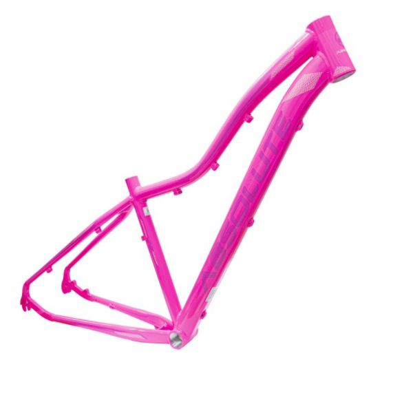 Quadro Bicicleta Ciclismo Mtb Absolute Hera 29x17 Rs