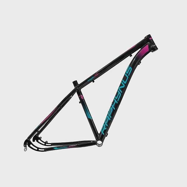 Quadro Bicicleta Bike Raphynus Feminino Aro 29 Tam. 15 Vd/Rs